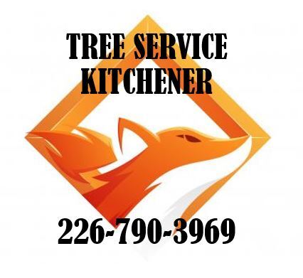  Profile Photos of Tree Service Kitchener 137 Briarmeadow Place - Photo 1 of 1