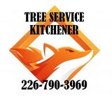 Tree Service Kitchener, Kitchener