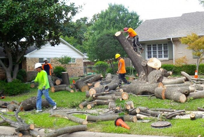  Profile Photos of Fishers Tree Service 10421 Toll House Way - Photo 1 of 2