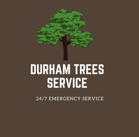  Profile Photos of RJ Tree Service Pros 904 Clarendon St. Apt. A - Photo 1 of 1