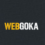 Webgoka : A Leading Website Designing Company in Delhi, Delhi