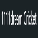 ICC Dream11 - Wuhan Zhong Yin Di Technology co. LTD, Dallas