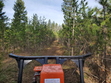 Regal Mountain Forest Management, Coeur d'Alene