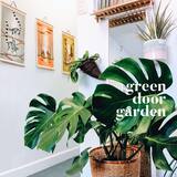  Green Door Garden 1420 Westover Terrace, Suite D, 