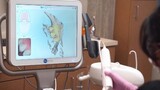  North Shore Prosthodontic Associates 800 Woodbury Road, Suite H 