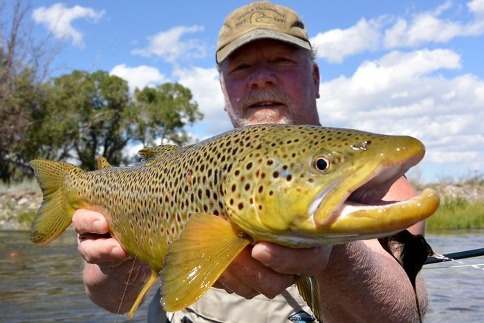  New Album of Fishtales Outfitting LLC 50 Duncan District Road - Photo 2 of 11