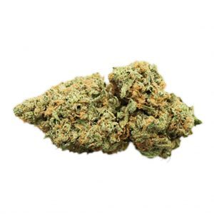  New Album of Mary On Jane Cannabis 1664 Jane St - Photo 1 of 10
