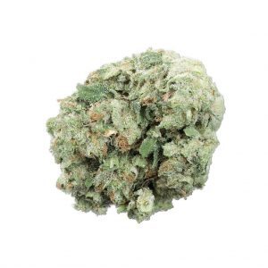  New Album of Mary On Jane Cannabis 1664 Jane St - Photo 9 of 10