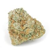 Mary On Jane Cannabis, York