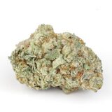 Mary On Jane Cannabis, York