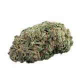 Mary On Jane Cannabis, York