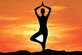 yoga classes in chandigarh | yoga instructor at home | yoga classes in, Chandigarh