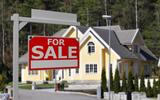  David Allen Rivas Real Estate 217 Lake Ct 