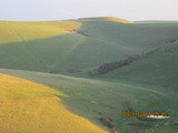                                , Run Wild South Downs Personal Training, Lewes