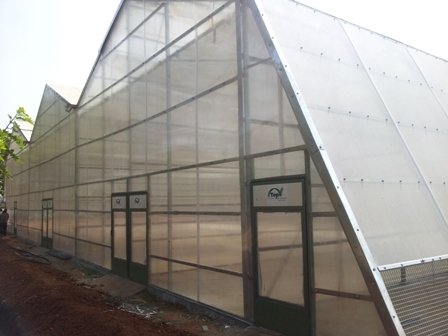 Top Greenhouses LTD Profile Photos of Top Greenhouses LTD Industrial Park Ariel West P.O.B. 64 - Photo 26 of 27