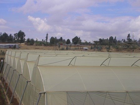 Top Greenhouses LTD Profile Photos of Top Greenhouses LTD Industrial Park Ariel West P.O.B. 64 - Photo 1 of 27