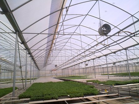 Top Greenhouses LTD Profile Photos of Top Greenhouses LTD Industrial Park Ariel West P.O.B. 64 - Photo 6 of 27