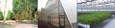 Top Greenhouses LTD Profile Photos of Top Greenhouses LTD Industrial Park Ariel West P.O.B. 64 - Photo 4 of 27