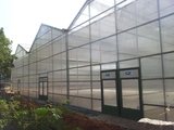 Top Greenhouses LTD Top Greenhouses LTD Industrial Park Ariel West P.O.B. 64 