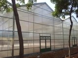 Top Greenhouses LTD Top Greenhouses LTD Industrial Park Ariel West P.O.B. 64 
