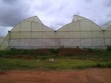 Top Greenhouses LTD Top Greenhouses LTD Industrial Park Ariel West P.O.B. 64 
