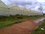 Top Greenhouses LTD Top Greenhouses LTD Industrial Park Ariel West P.O.B. 64 