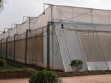 Top Greenhouses LTD Top Greenhouses LTD Industrial Park Ariel West P.O.B. 64 