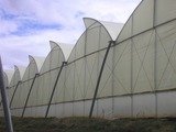 Top Greenhouses LTD Top Greenhouses LTD Industrial Park Ariel West P.O.B. 64 