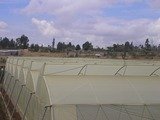 Top Greenhouses LTD Top Greenhouses LTD Industrial Park Ariel West P.O.B. 64 