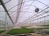 Top Greenhouses LTD Top Greenhouses LTD Industrial Park Ariel West P.O.B. 64 