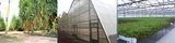 Top Greenhouses LTD, Top Greenhouses LTD, Barkan