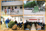 Yalong group activities Zhengzhou Yalong Pultrex Composite Materials Co., Ltd #3, xuesong road, high-new district 