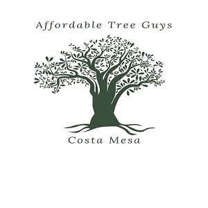  Profile Photos of Affordable Tree Guys of Costa Mesa 1695 Palau Place - Photo 1 of 3