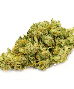  Profile Photos of Buy Weed Online | Gorilla cake strain | White runtz carts 212 7th St SE - Photo 1 of 4
