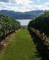  Upper End Wine Tours Kelowna 2181 Chilcotin Crescent 