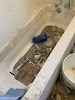  Profile Photos of The BIO-Clean Team 6640 Lusk Blvd STE A204A - Photo 4 of 4