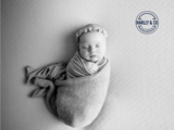 Harlly & Co Photography, North Sydney
