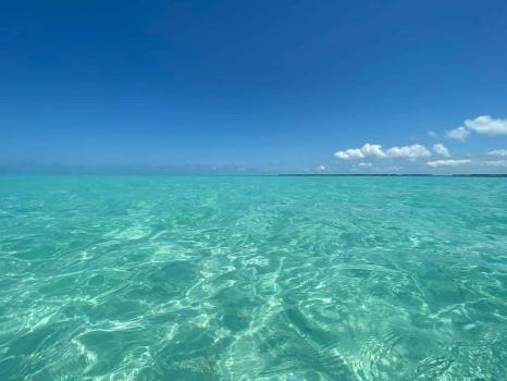  Profile Photos of Florida Keys Boat Rentals 5001 5th Avenue - Photo 2 of 4