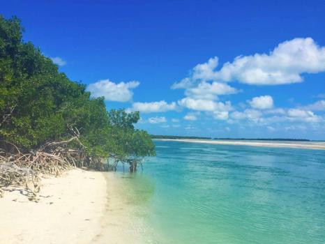  Profile Photos of Florida Keys Boat Rentals 5001 5th Avenue - Photo 3 of 4
