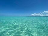  Florida Keys Boat Rentals 5001 5th Avenue 
