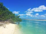  Florida Keys Boat Rentals 5001 5th Avenue 