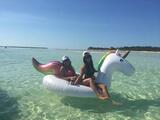  Florida Keys Boat Rentals 5001 5th Avenue 