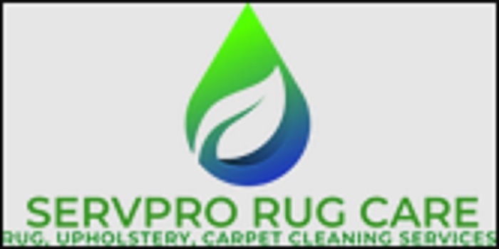  Profile Photos of Pro Rug Cleaning Scarsdale 2900 Westchester Avenue - Photo 1 of 1