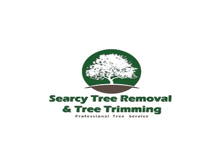  Profile Photos of Searcy Tree Service 2016 AR-267 - Photo 1 of 1