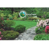 Naturescape, Carol Stream