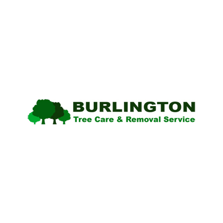 Burlington Tree Care & Removal Service<br />
 Profile Photos of Burlington Tree Care & Removal Service 1168 St Marks Church Rd - Photo 4 of 4