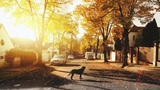  Farewell Friend - Pet Euthanasia at home 9 Swadelands Close, Lenham 