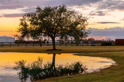  Profile Photos of Mallard Lake Detox Drug Addiction Rehabilitation Center 18407 Hopfe Road - Photo 2 of 4