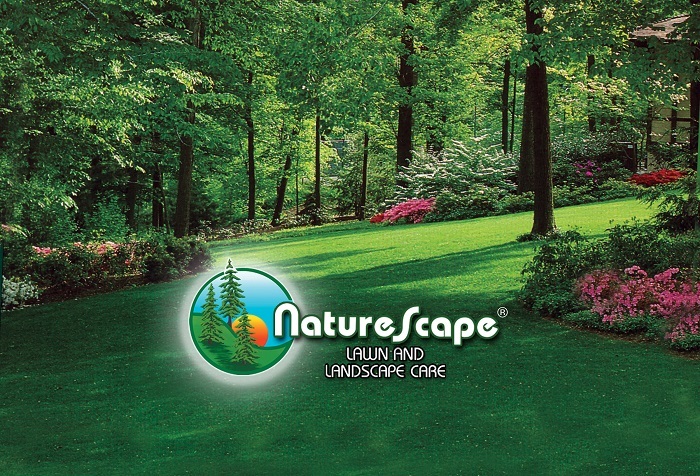  New Album of Naturescape 5119 Terminal Dr - Photo 4 of 4
