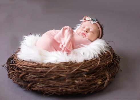  Profile Photos of Little Owls Photography 325 Crowell Hill Rd - Photo 2 of 4